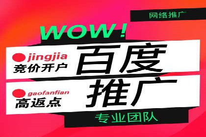 SEM推广技巧：成功案例深度剖析
