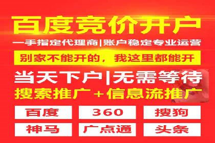 SEM竞价优化案例：品牌曝光与转化双提升